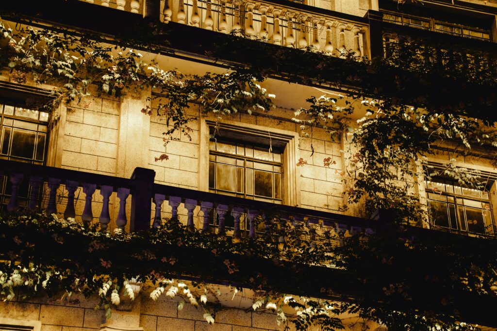 Pexels Lange X 2151365597 32296039 1024x683